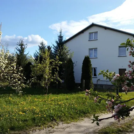 - Wypoczynek Nad Stawem Na Kaszubach アパート Karsin