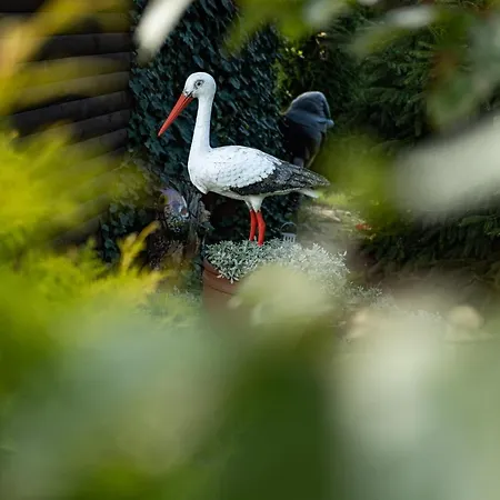 - Wypoczynek Nad Stawem Na Kaszubach *