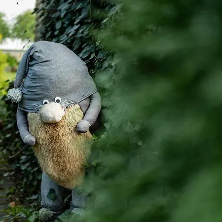 - Wypoczynek Nad Stawem Na Kaszubach *