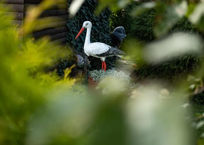 - Wypoczynek Nad Stawem Na Kaszubach *