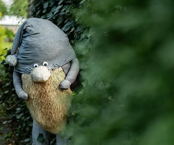 - Wypoczynek Nad Stawem Na Kaszubach *